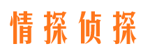 甘井子外遇取证